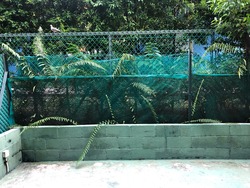 Lakeside Grove (D22), Terrace #172881702